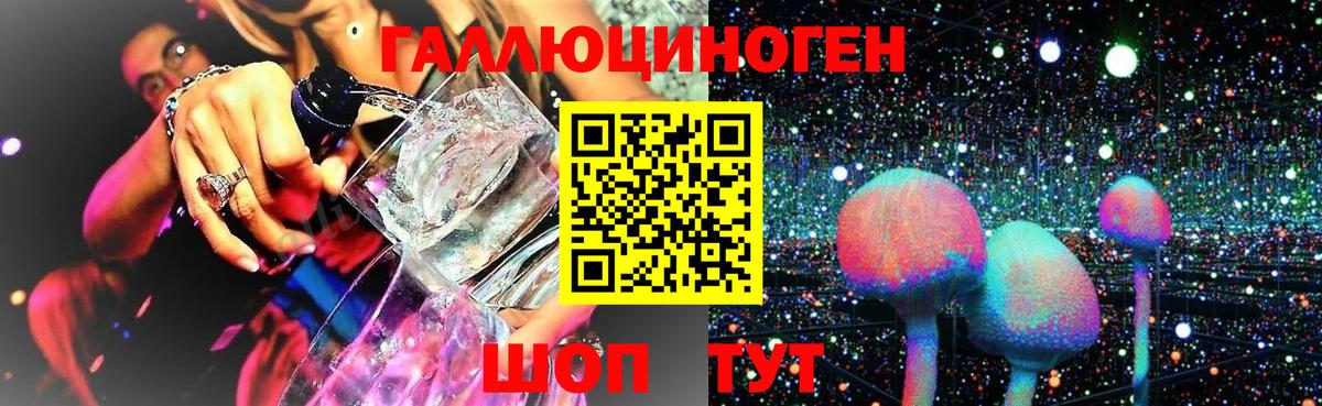 Нарткала  Псилоцибиновые грибы Cubensis  Вход с VPN 