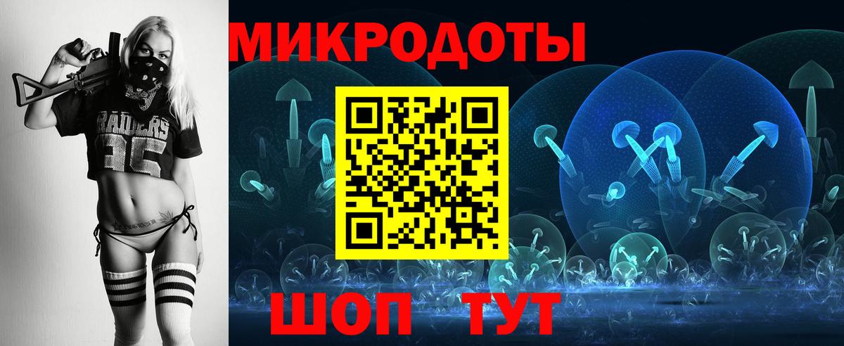 Галлюциногенные грибы Psilocybe Нарткала
